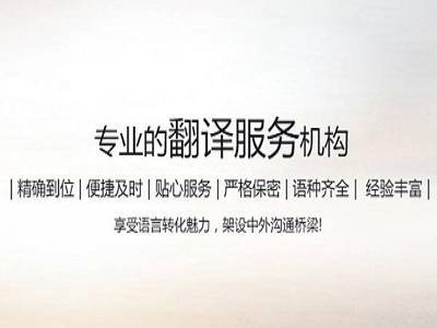 专业网站翻译机构图片